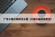 广东小相公麻将怎么看（小相公麻将啥意思）