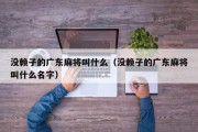 没赖子的广东麻将叫什么（没赖子的广东麻将叫什么名字）