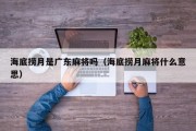 海底捞月是广东麻将吗（海底捞月麻将什么意思）