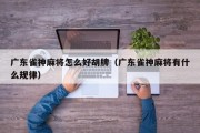广东雀神麻将怎么好胡牌（广东雀神麻将有什么规律）