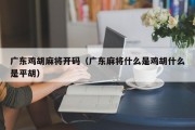 广东鸡胡麻将开码（广东麻将什么是鸡胡什么是平胡）