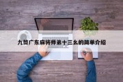 九筒广东麻将师弟十三幺的简单介绍