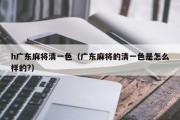 h广东麻将清一色（广东麻将的清一色是怎么样的?）