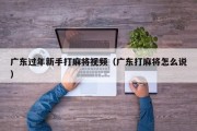 广东过年新手打麻将视频（广东打麻将怎么说）
