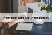 广东的同志打麻将怎么样（广东省同志聚地）