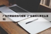 广东杆牌麻将技巧视频（广东麻将杠牌怎么算钱）