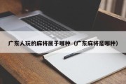 广东人玩的麻将属于哪种（广东麻将是哪种）