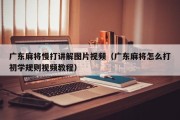 广东麻将慢打讲解图片视频（广东麻将怎么打初学规则视频教程）
