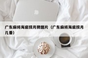 广东麻将海底捞月牌图片（广东麻将海底捞月几番）