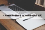 广东麻将没东西南北（广东麻将东西南北风）