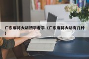 广东麻将大胡初学者学（广东麻将大胡有几种）