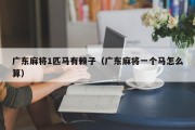 广东麻将1匹马有赖子（广东麻将一个马怎么算）